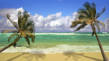 Картинка природа тропики облака тихий океан пальмы pacific ocean hawaii