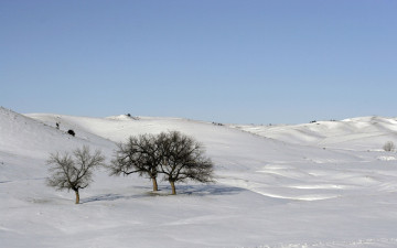 Картинка природа зима холмы снег деревья