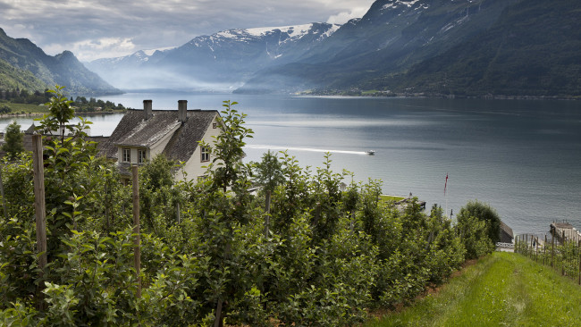 Обои картинки фото природа, пейзажи, норвегия, фьорд, norway, горы, деревня