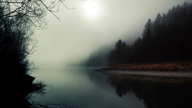 Обои картинки фото природа, реки, озера, река, лес, туман