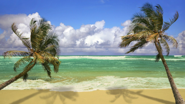 Обои картинки фото природа, тропики, облака, тихий, океан, пальмы, pacific, ocean, hawaii