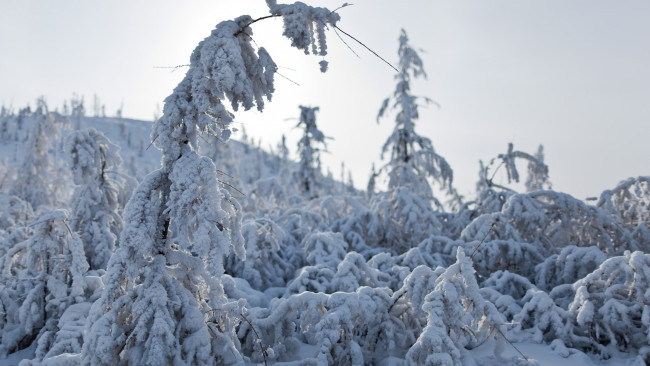 Обои картинки фото сергей, доля, природа, зима, Якутия