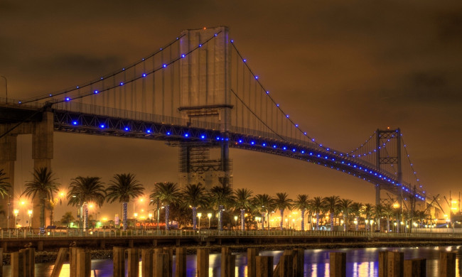 Обои картинки фото города, мосты, пальмы, мост, ночь