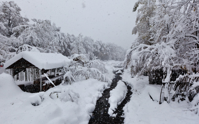 Обои картинки фото автор, сергей, доля, природа, зима, снег