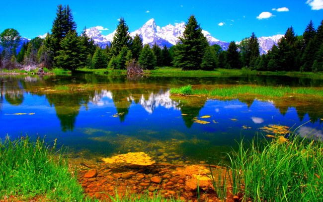 Обои картинки фото природа, реки, озера, деревья, горы, пейзаж, река, лес