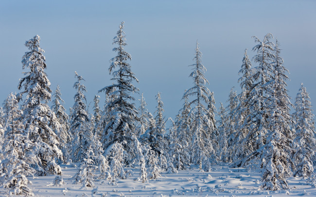 Обои картинки фото сергей, доля, природа, зима, Якутия