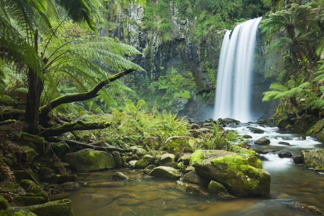 Обои картинки фото природа, водопады, деревья, река, лес, камни, скала