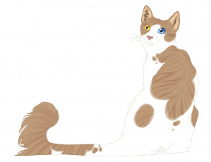 Картинка рисованные животные коты кот