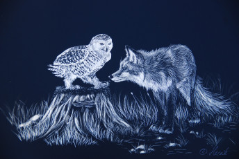 Картинка рисованные животные лисы сова лиса