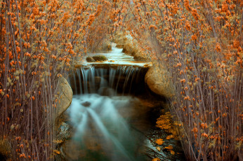 Картинка природа водопады река кусты камни