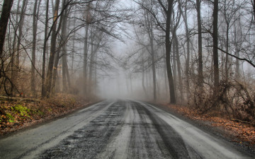 обоя природа, дороги, туман, лес, дорога