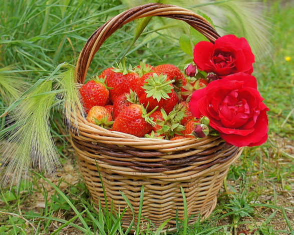Обои картинки фото еда, клубника, земляника, ягоды, розы, корзинка