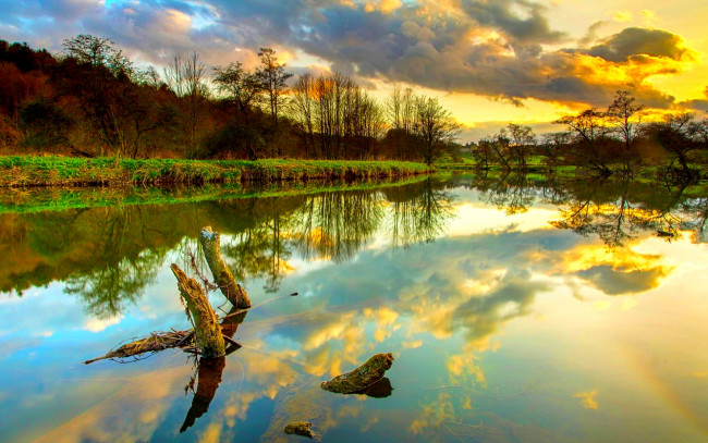 Обои картинки фото природа, реки, озера, река, деревья, трава, коряга, облака