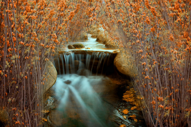 Обои картинки фото природа, водопады, река, кусты, камни