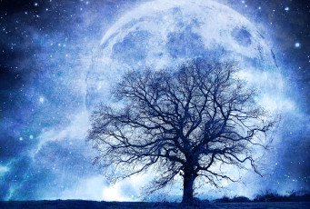 Картинка разное компьютерный+дизайн поле дерево планета звезды сияние ночь