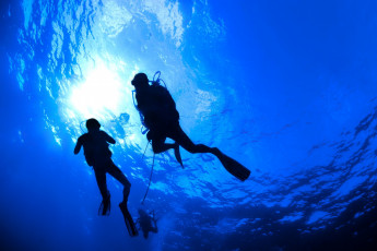обоя diving, спорт, - другое, погружение, подводное, плавание, море