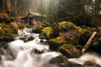 Картинка разное мельницы дымка лес мох камни водопады потоки голлинг-на-зальцахе австрия река водяная мельница