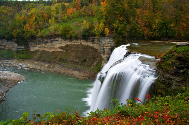 Обои картинки фото природа, водопады, река, осень, цветы, водопад, деревья, лес