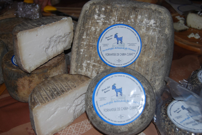 Обои картинки фото formatge de cabra curat, еда, сырные изделия, сыр