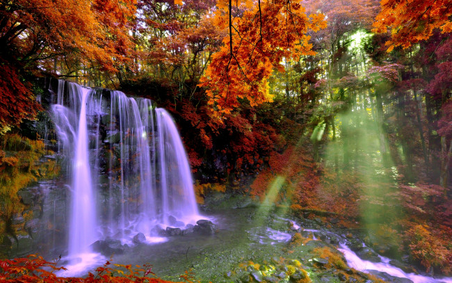 Обои картинки фото природа, водопады, водопад, скала, осень
