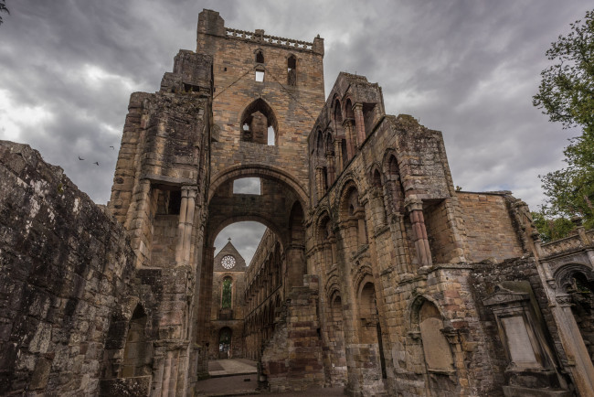 Обои картинки фото jedburgh abbey, города, - католические соборы,  костелы,  аббатства, аббатство