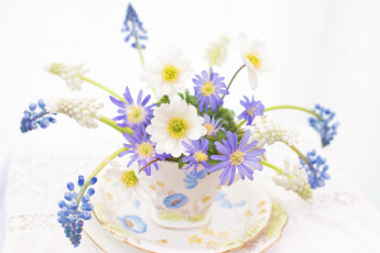 Картинка цветы букеты +композиции анемоны ветреница блюдце чашка мышиный гиацинт гадючий лук мускари букетик