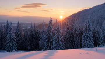 Картинка природа восходы закаты облака солнце небо ёлки лес зима тени сугробы ели закат рассвет красота пейзаж снег лучи