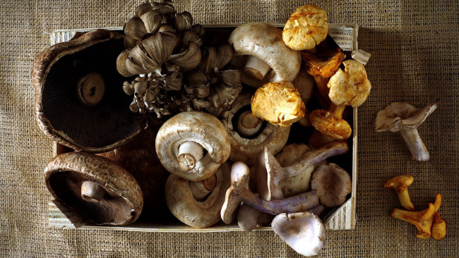 Обои картинки фото еда, грибы,  грибные блюда, лисички, шампиньоны