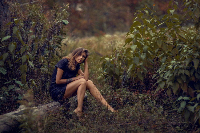 Обои картинки фото девушка в лесу, девушки, -unsort , брюнетки,  шатенки, девушка, лес
