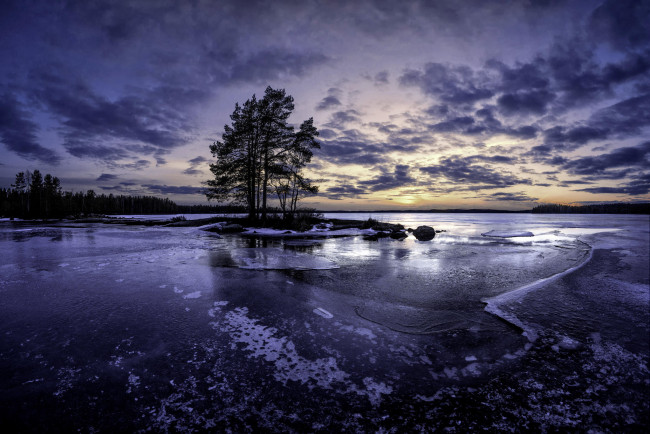 Обои картинки фото природа, реки, озера, финляндия, озеро, лёд, деревья, закат
