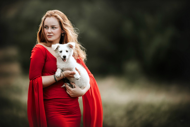 Обои картинки фото девушки, - рыжеволосые и разноцветные, рыжая, платье, собака