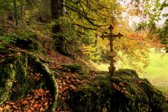 Картинка германия бавария природа лес крест