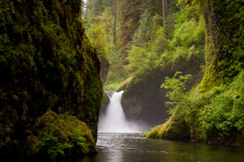 Картинка природа водопады мох вода камни поток