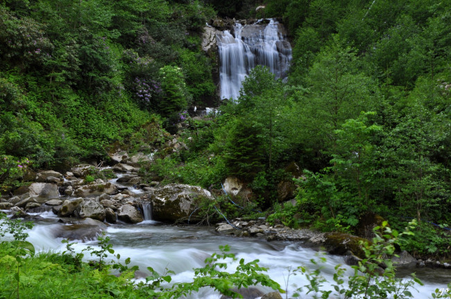 Обои картинки фото природа, водопады, камни, река, лес