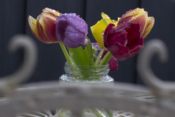 Картинка цветы тюльпаны букет банка