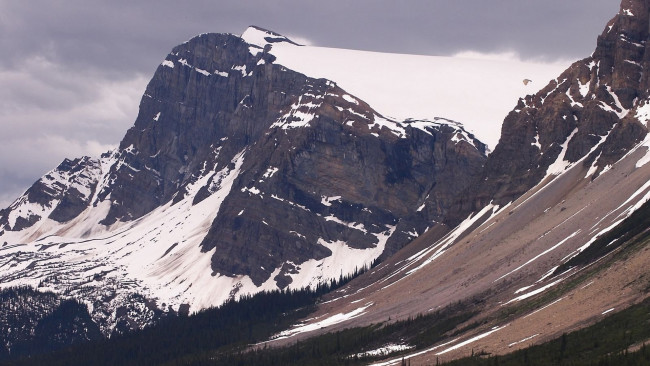 Обои картинки фото природа, горы, снег, скалы, деревья, склон