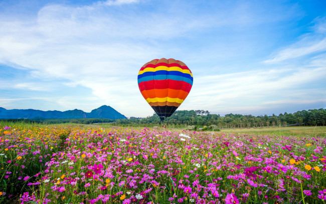 Обои картинки фото авиация, воздушные шары дирижабли, луг, воздушный, шар, полет, цветы