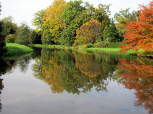 Картинка природа реки озера озеро осень