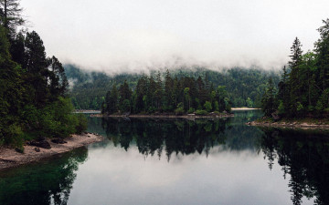 Картинка природа реки озера лес река туман