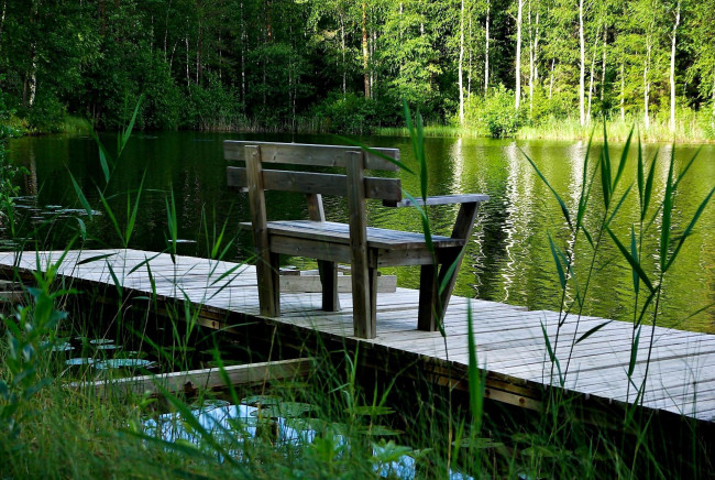Обои картинки фото природа, реки, озера, лес, пруд, мостки, скамейка
