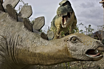 Картинка разное рельефы статуи музейные экспонаты динозавры