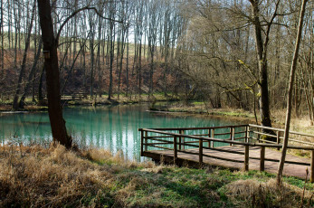 Картинка германия румшпринге природа реки озера река деревья мостик