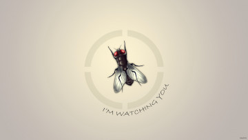 Картинка 3д графика animals животные муха