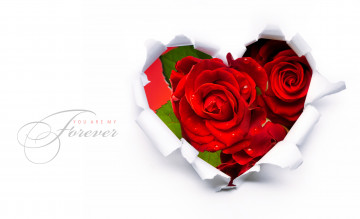 Картинка праздничные день св валентина сердечки любовь бумажное сердце розы бумага