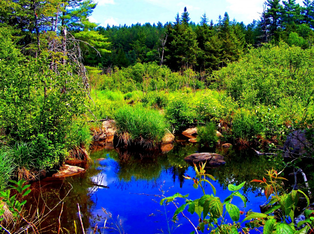 Обои картинки фото baldwin, springs, in, hdr, природа, реки, озера, озерко, лес, поляна