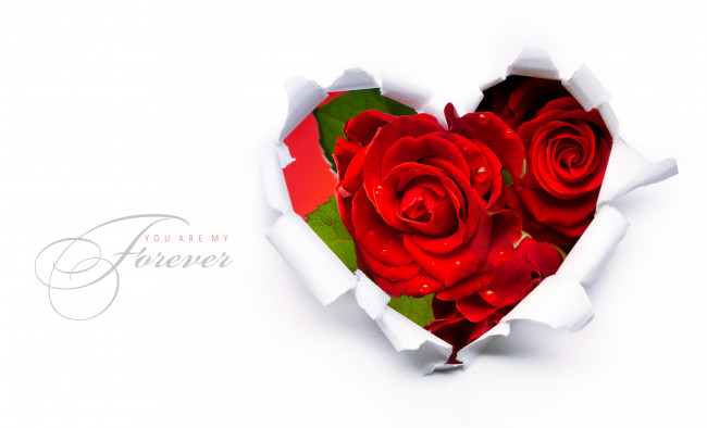 Обои картинки фото праздничные, день, св, валентина, сердечки, любовь, бумажное, сердце, розы, бумага