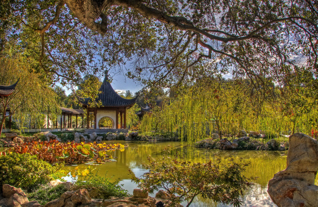 Обои картинки фото chinese, garden, san, marino, california, usa, природа, парк, мостик, пруд