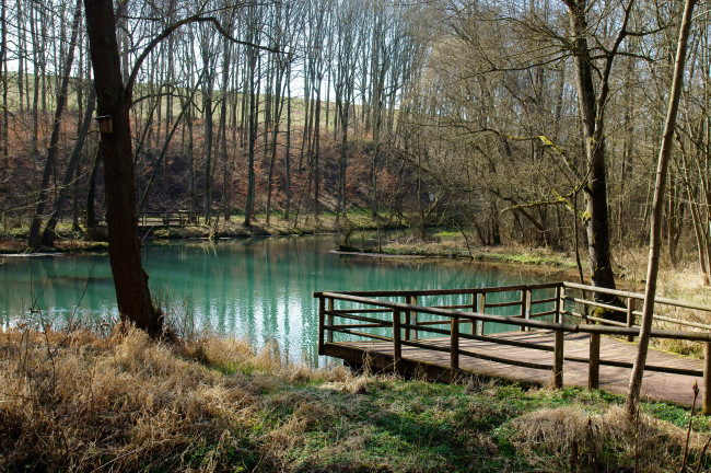 Обои картинки фото германия, румшпринге, природа, реки, озера, река, деревья, мостик