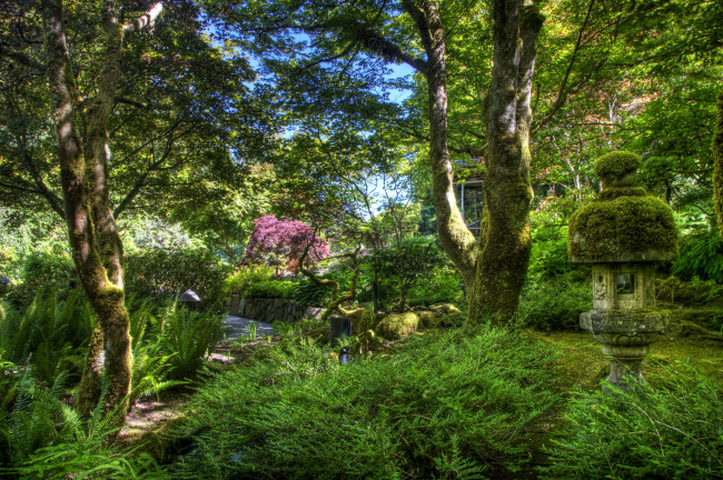 Обои картинки фото природа, парк, лето, кусты, трава, деревья, Япония