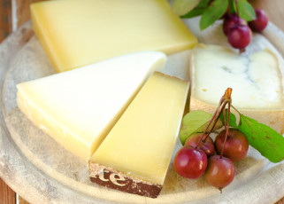 Картинка еда сырные изделия сорта сыра куски